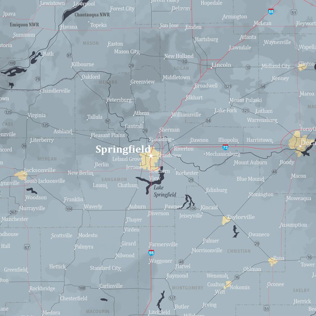Push Pin Travel Maps Illinois Slate Map with Pins Closeup