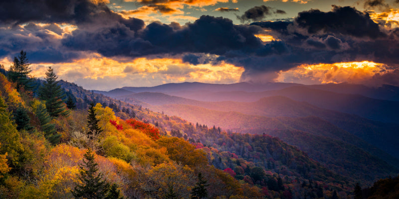 Great Smoky Mountains National Park