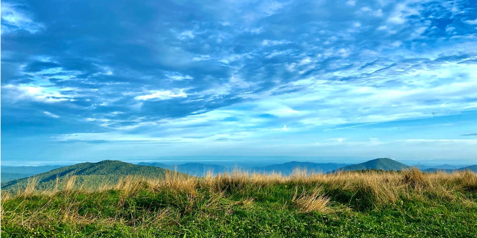 Max Patch, Appalachian Trail View