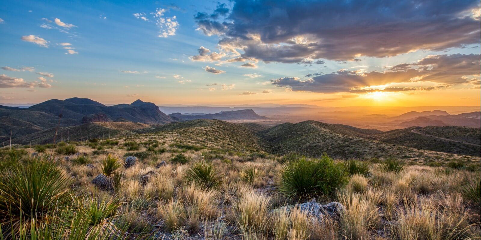 Sotol Vista Big Bend National Park, Texas, USA