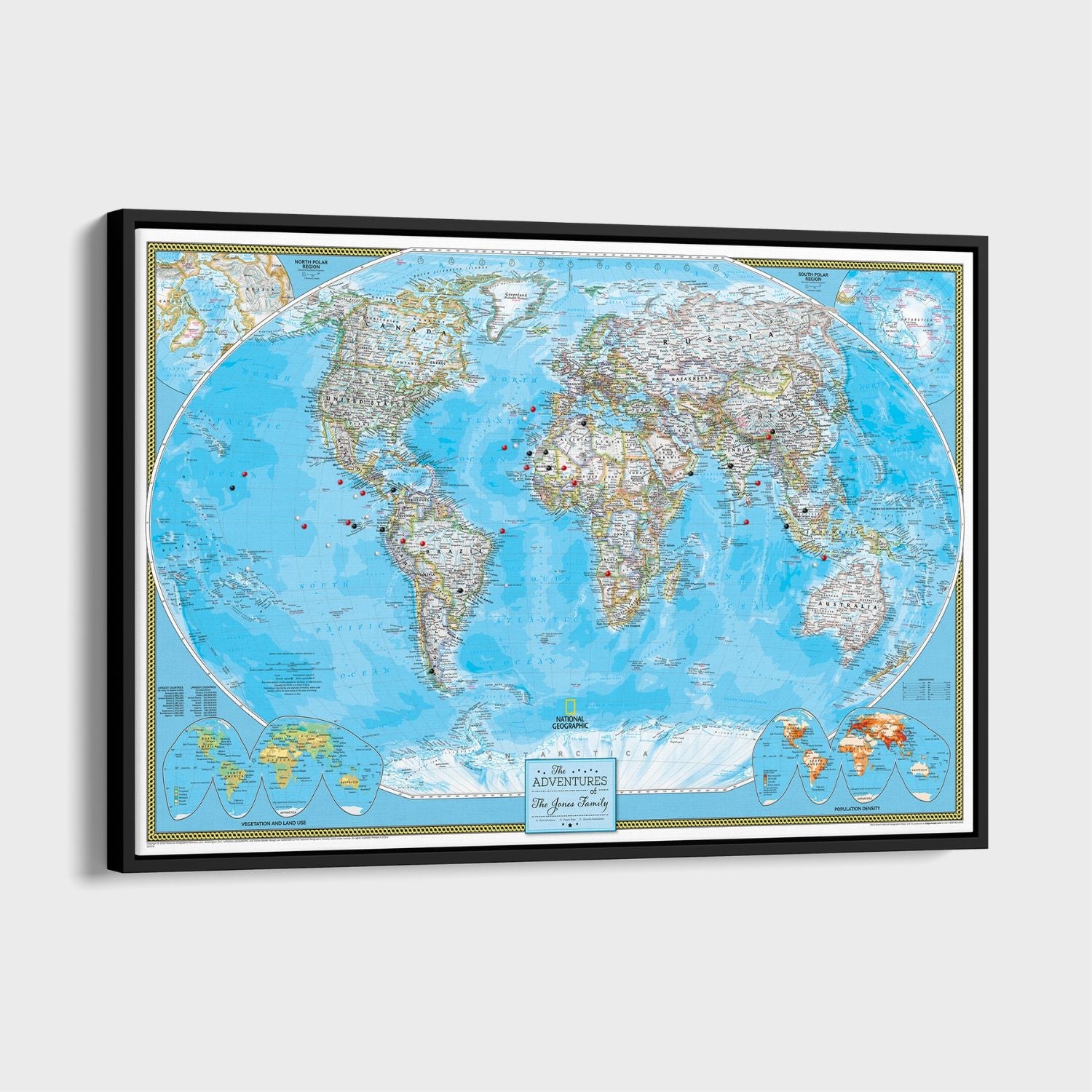 Canvas - Classic World Travel Map with Pins