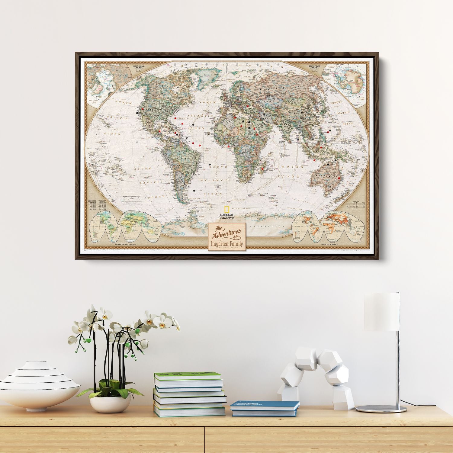 Canvas - Executive World Travel Map with Pins