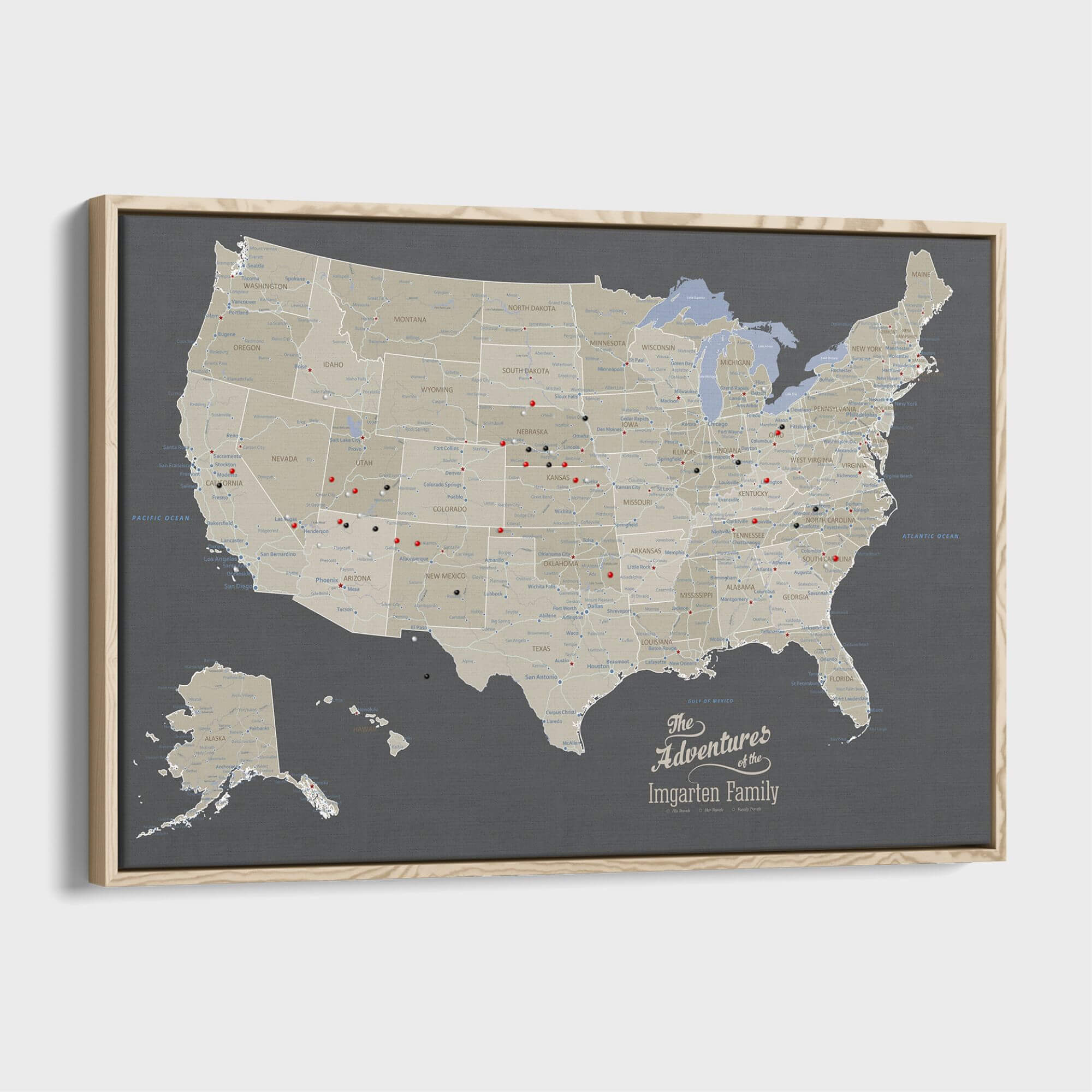 Canvas - Earth Toned USA Travel Map with pins