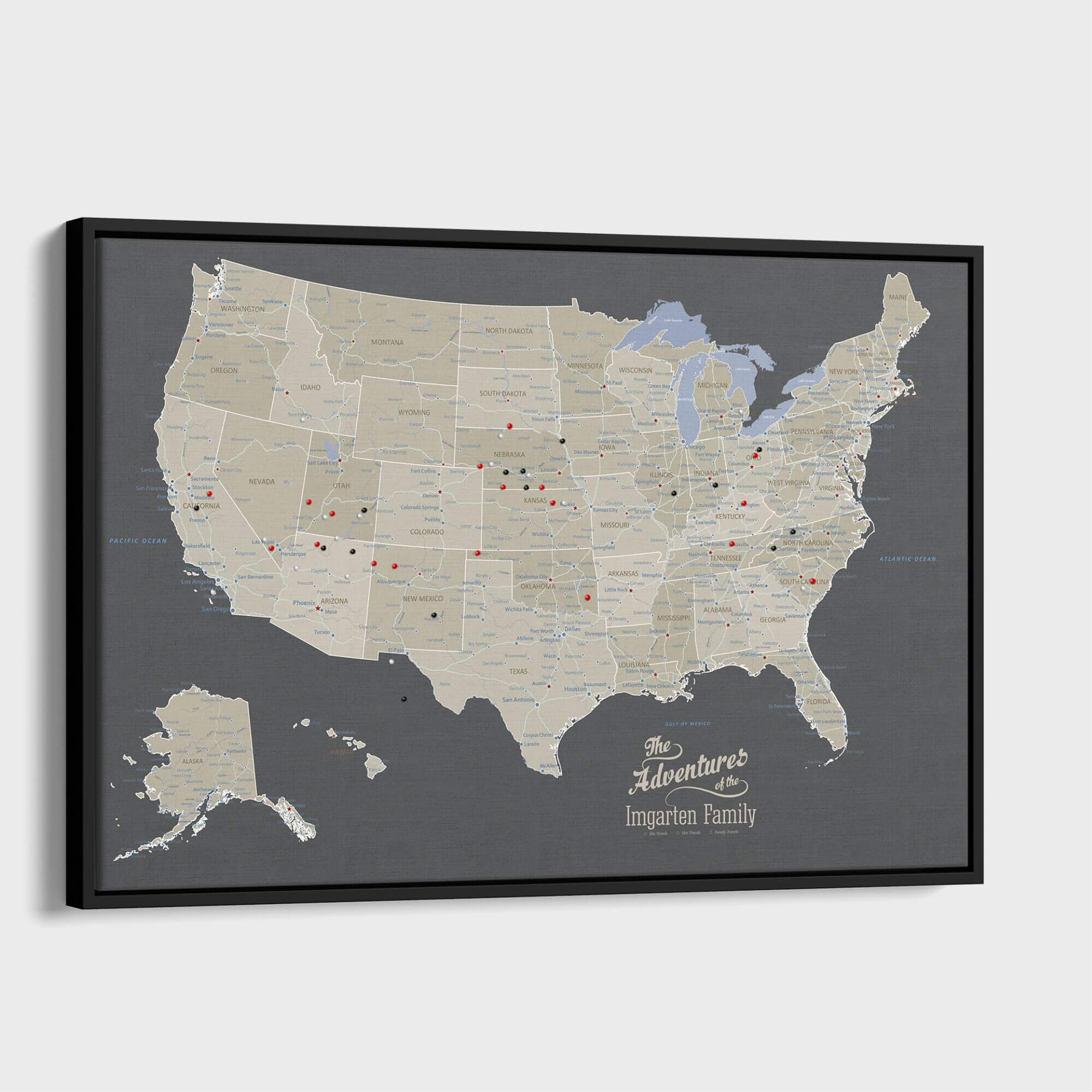 Canvas - Earth Toned USA Travel Map with pins
