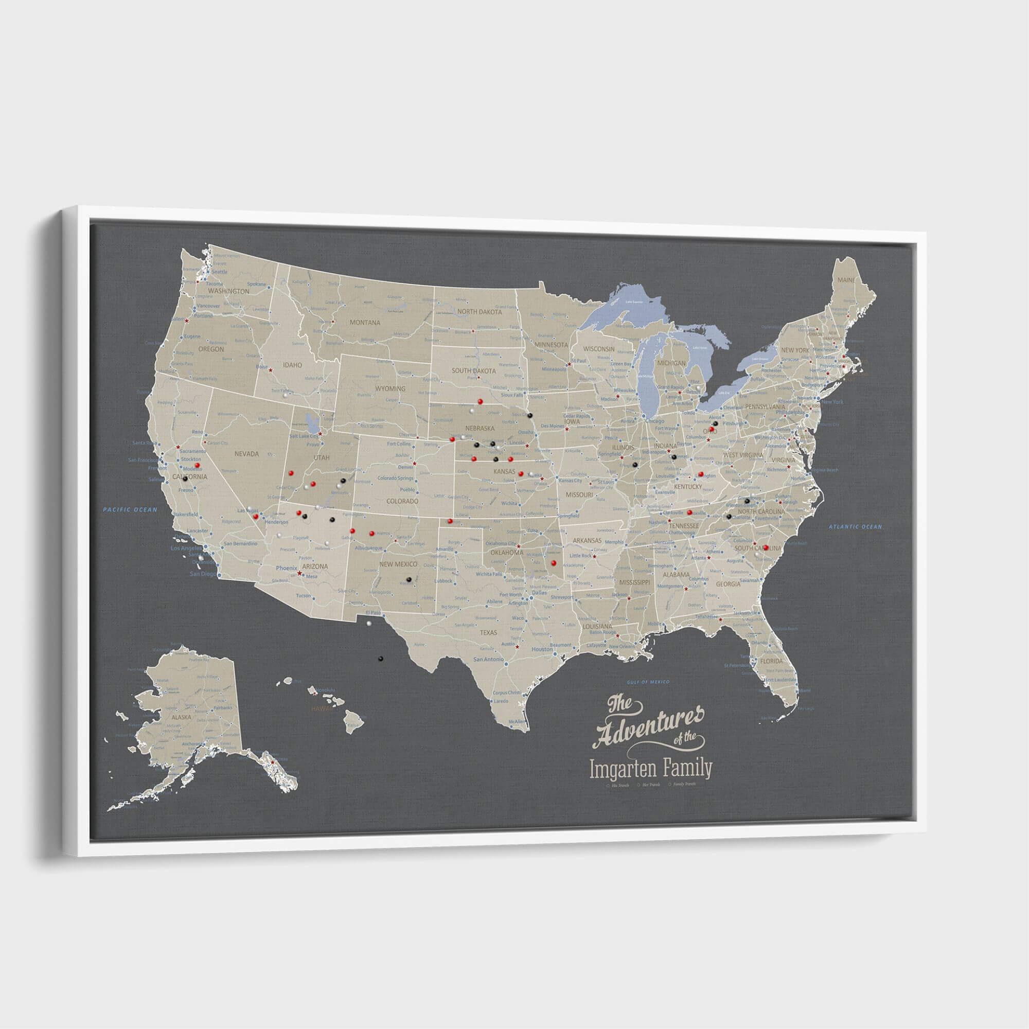 Canvas - Earth Toned USA Travel Map with pins