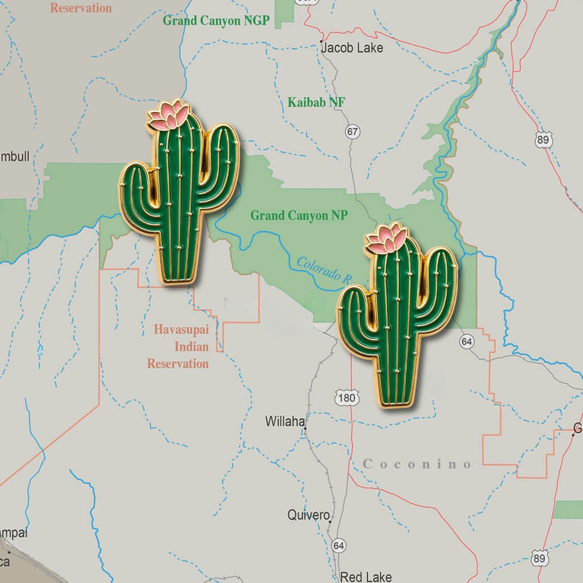 Two green gold-outlined saguaro cactus enamel map pins with pink blooms displayed on Grand Canyon Arizona map