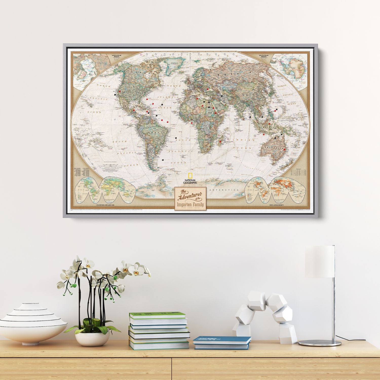 Canvas - Executive World Travel Map with Pins