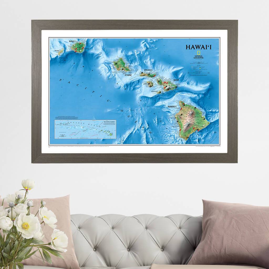 Hawaii Push Pin Travel Map in Barnwood Gray Frame