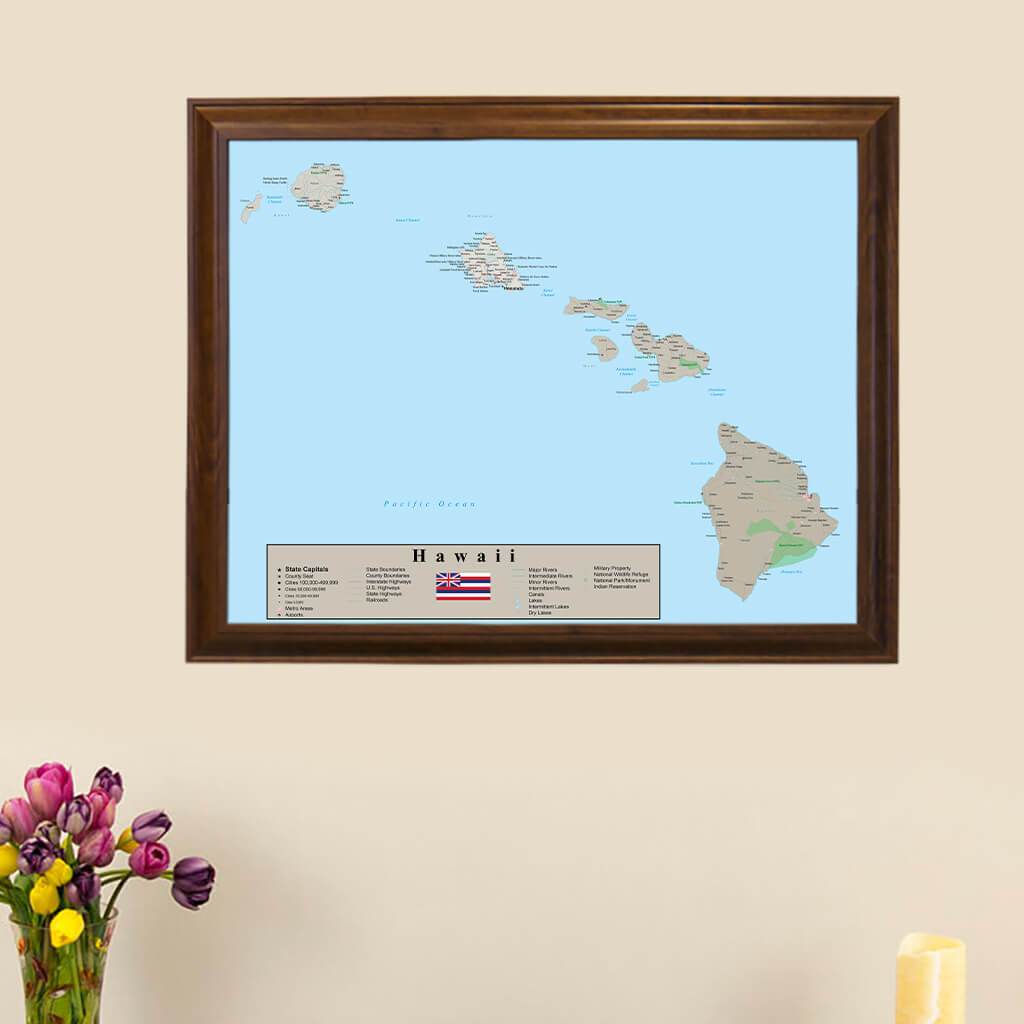 Earth Toned Hawaii Push Pin Travel Map 